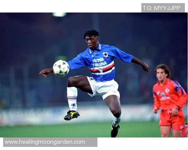 荷兰足球明星盘点：从传奇到新星的辉煌历程与成就